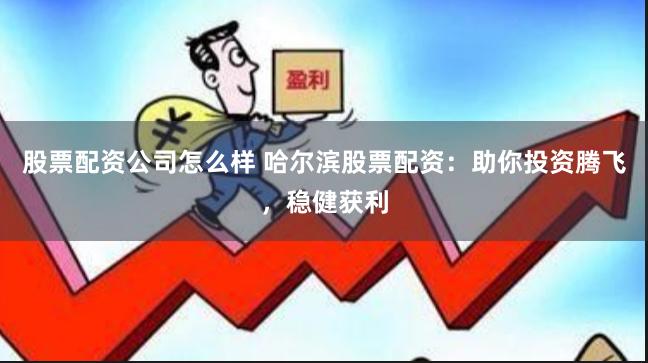 股票配资公司怎么样 哈尔滨股票配资：助你投资腾飞，稳健获利