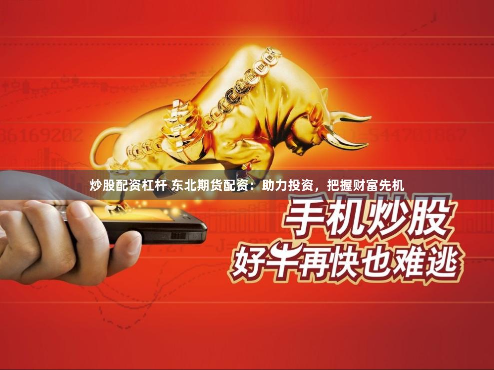 炒股配资杠杆 东北期货配资：助力投资，把握财富先机