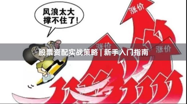 股票资配实战策略 | 新手入门指南